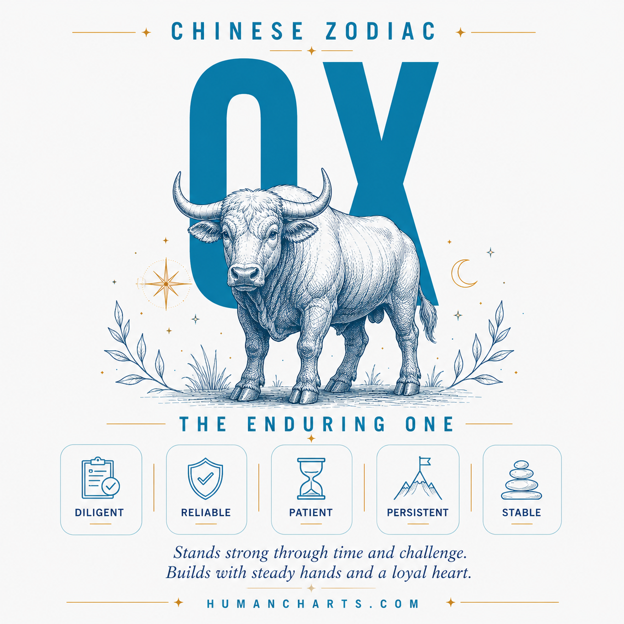 Visual representation of the Ox Chinese Zodiac — the Steady One — second animal in the Chinese zodiac, fixed element Earth, Yin, dependable and methodical.