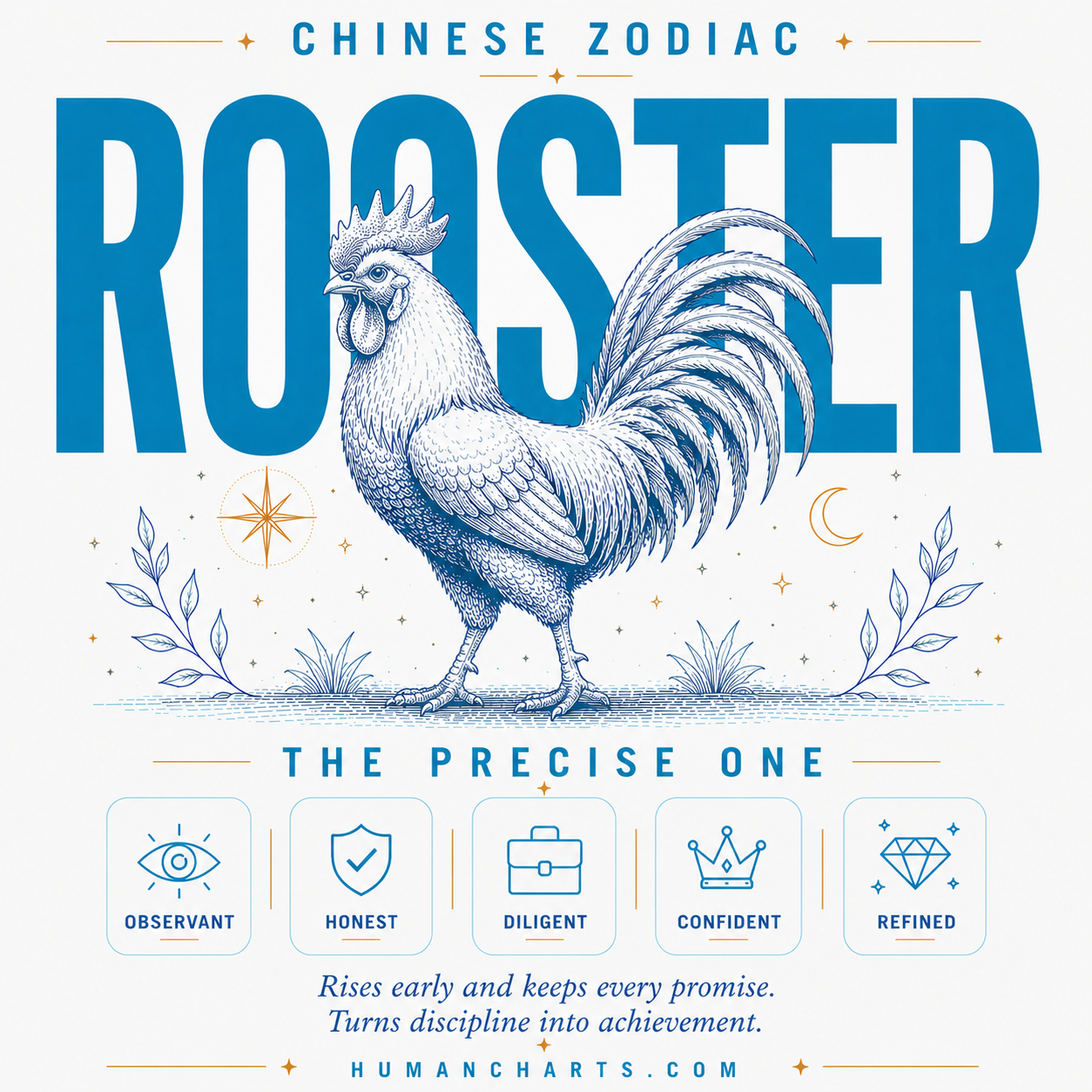 Visual representation of the Rooster Chinese Zodiac — the Honest One — tenth animal in the Chinese zodiac, fixed element Metal, Yin, observant and principled.