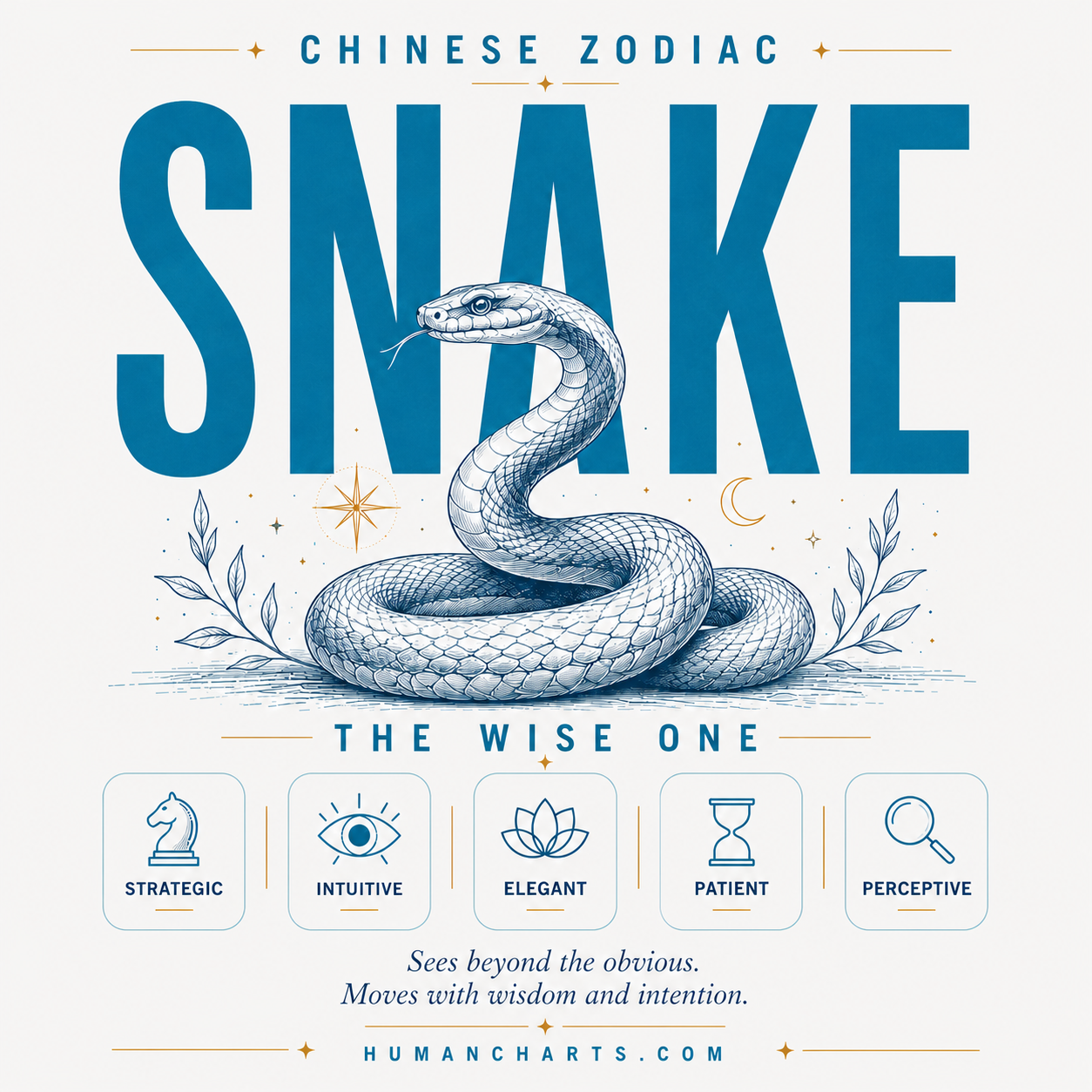 Visual representation of the Snake Chinese Zodiac — the Wise One — sixth animal in the Chinese zodiac, fixed element Fire, Yin, strategic and intuitive.