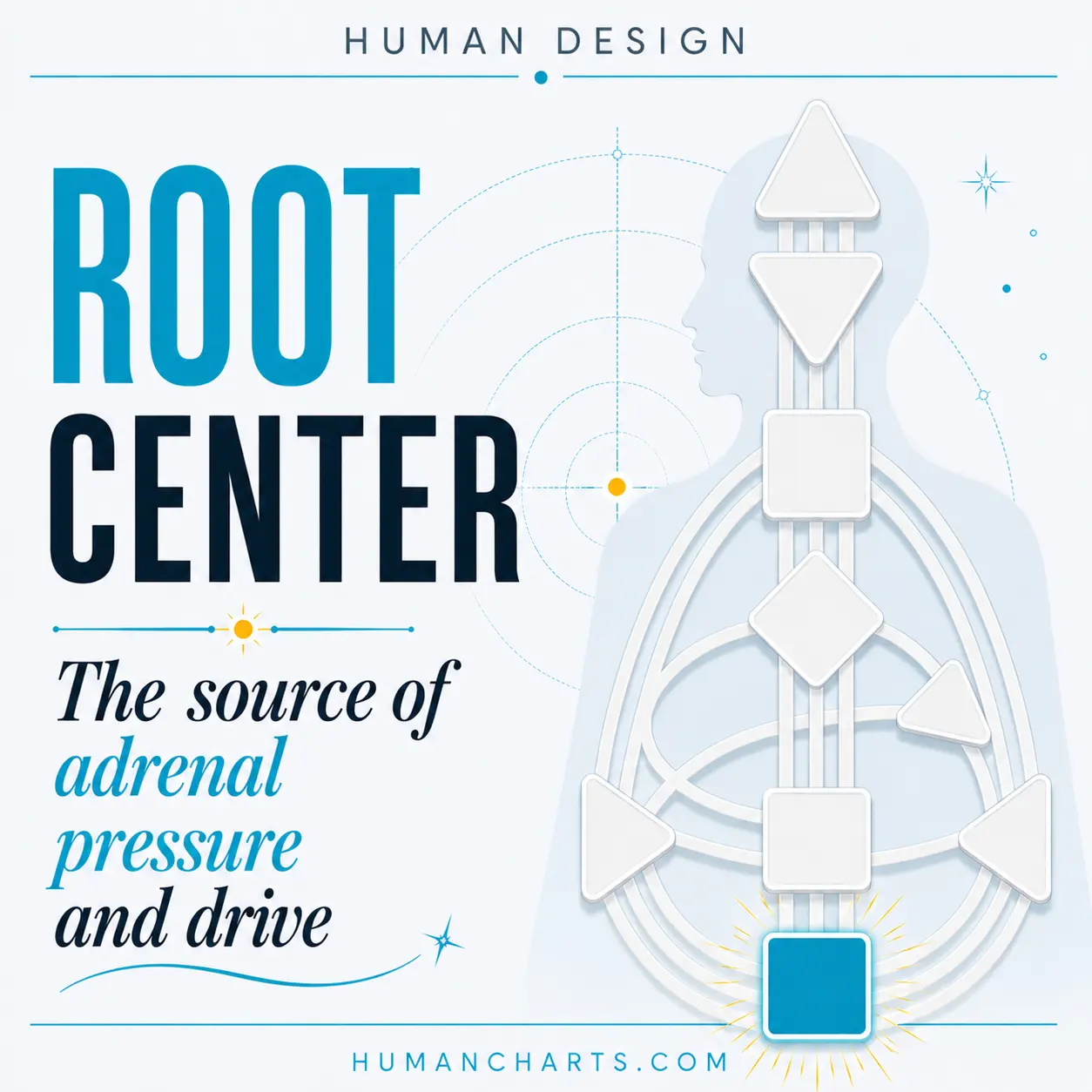 Root Center in Human Design, the source of adrenaline pressure and drive