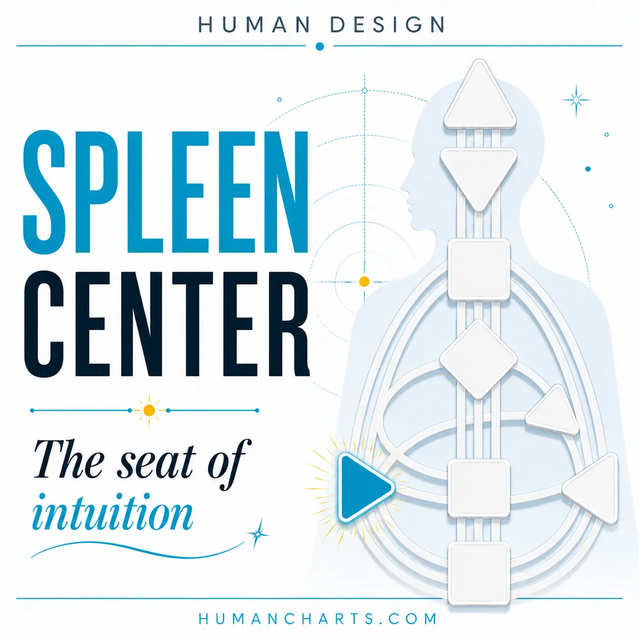 Spleen Center in Human Design, the center of intuition, instinct, and survival awareness