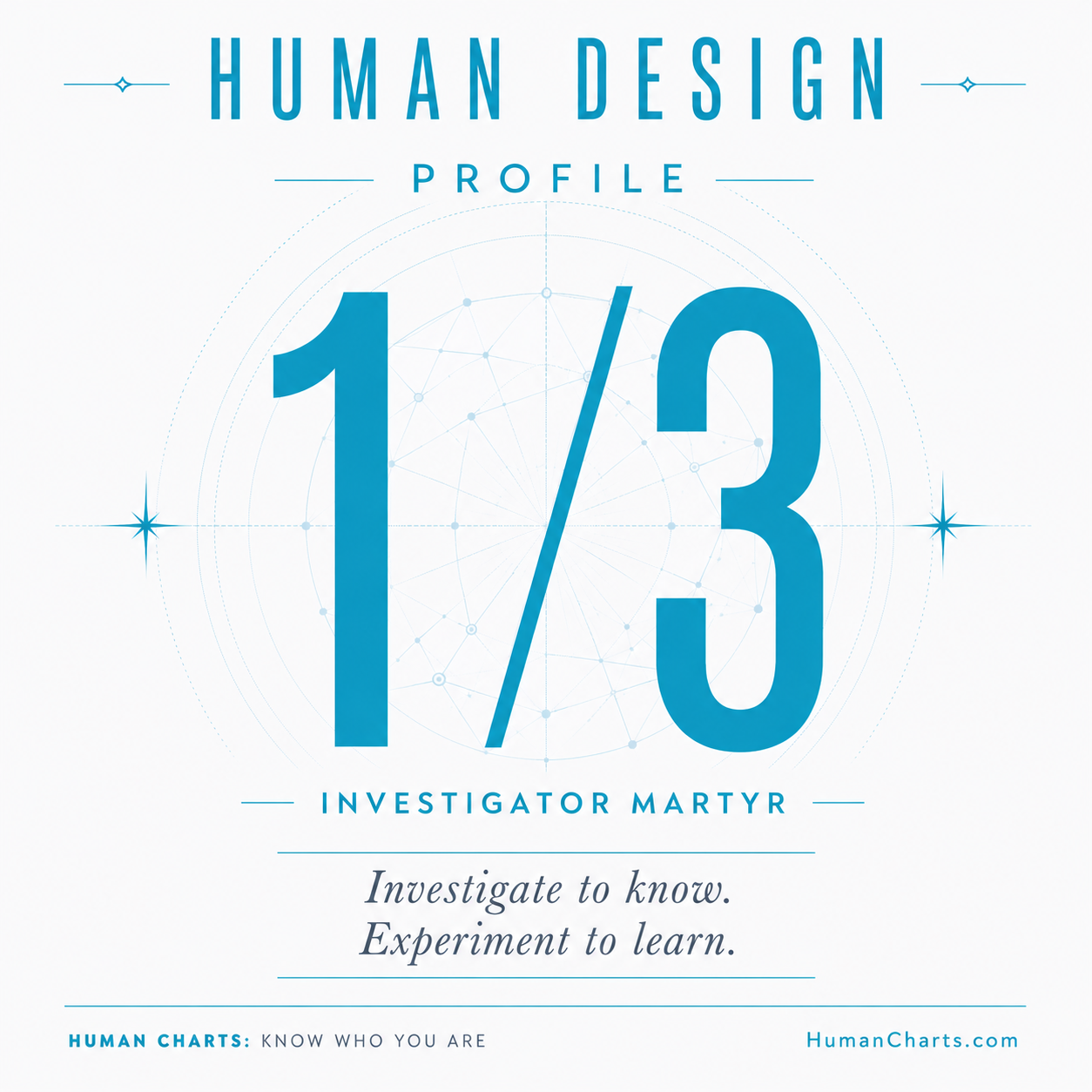 Visual representation of the 1/3 profile — the Investigator Martyr.