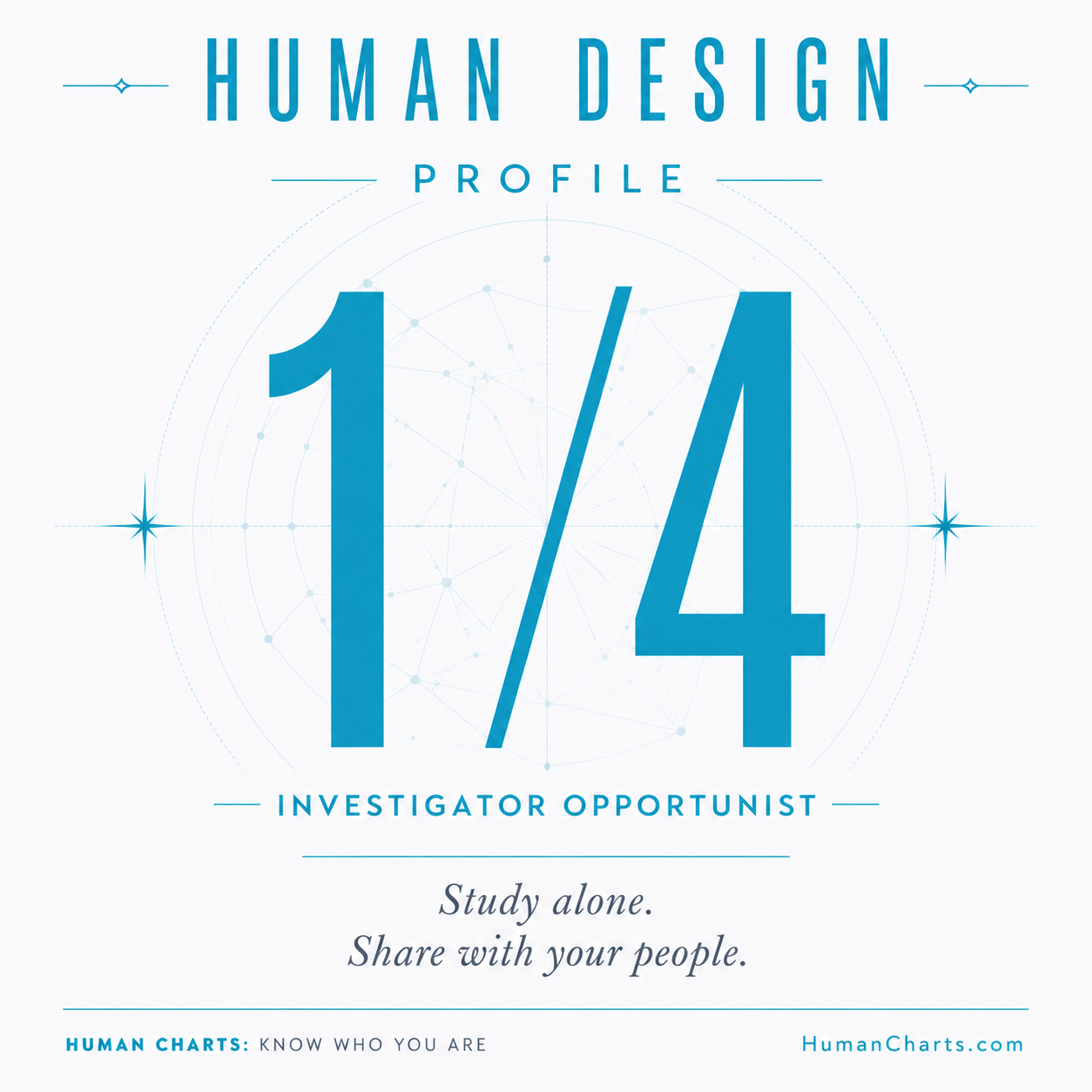 Visual representation of the 1/4 profile — the Investigator Opportunist.