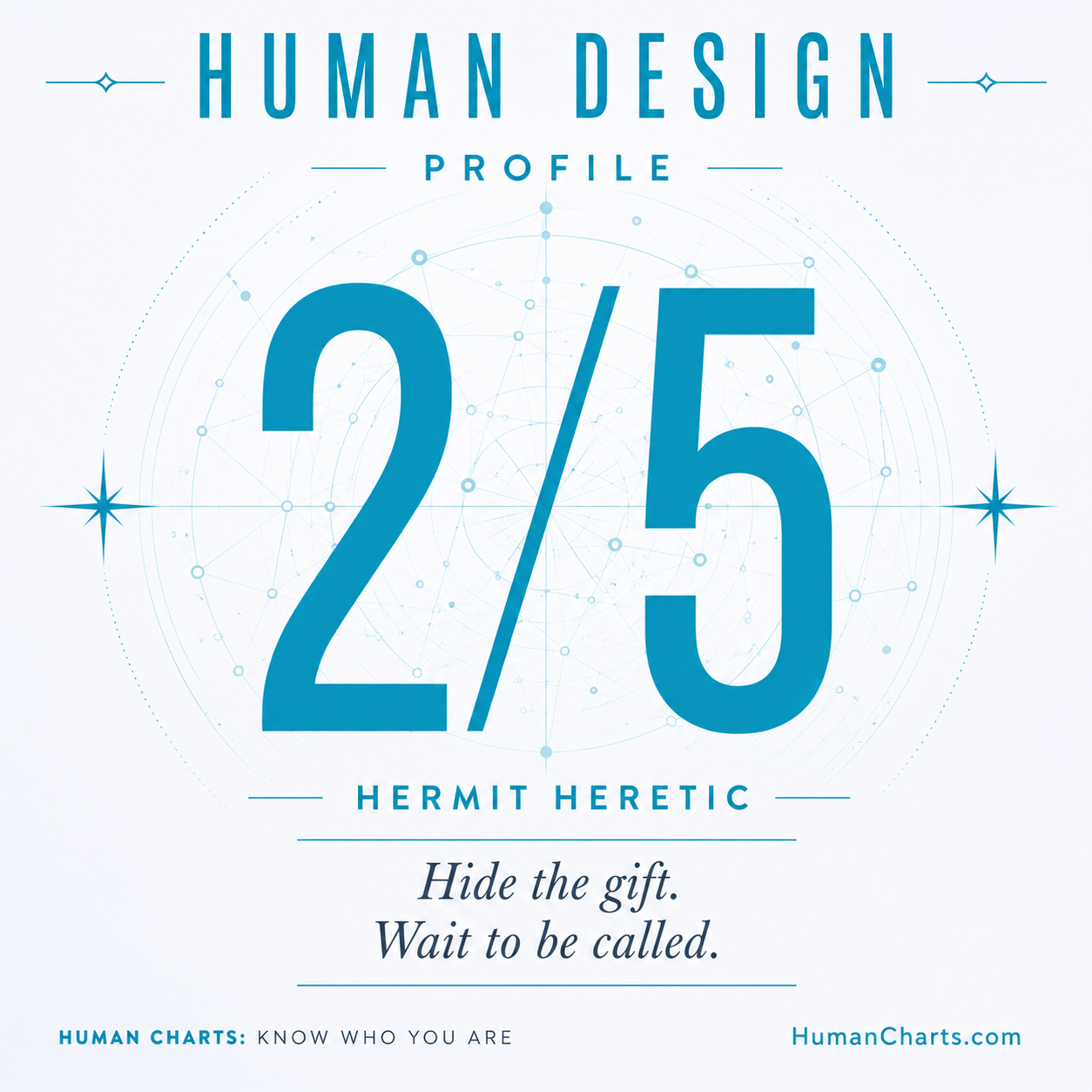 Visual representation of the 2/5 profile — the Hermit Heretic.